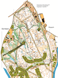 Dombäcksön